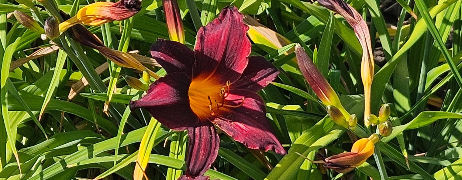 Татьяна ЛАЙФ