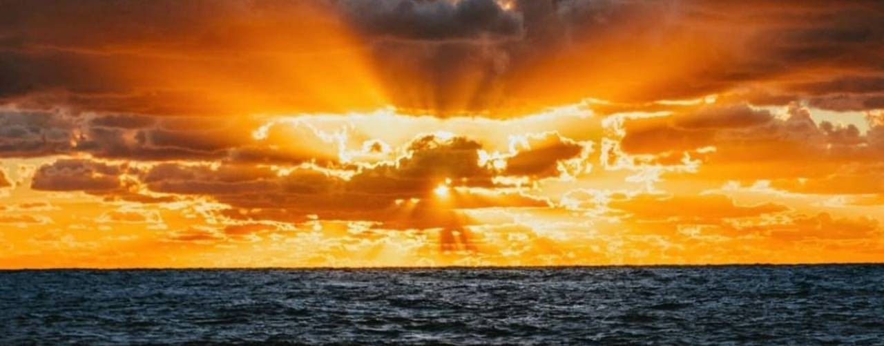 Алексей Горбунов