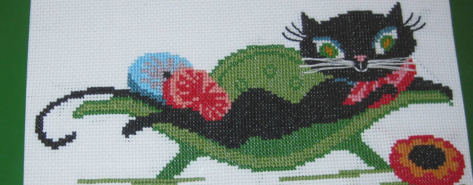 Ночная птица