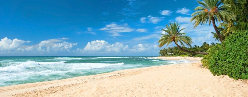 Бикини-Попам