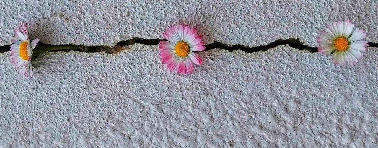 Психотерапия на дому