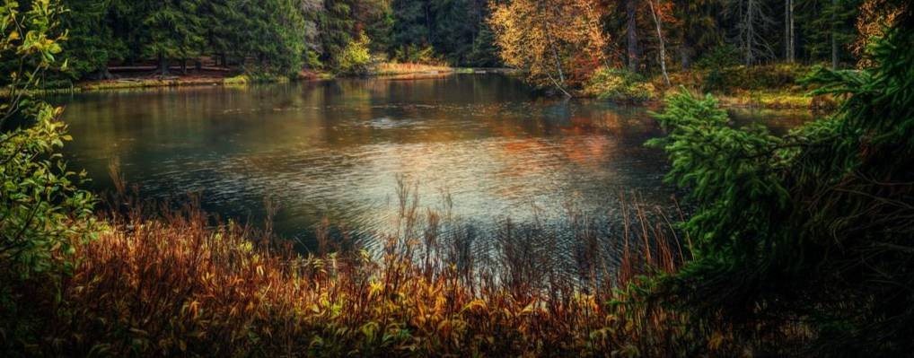 Лика и ее будни