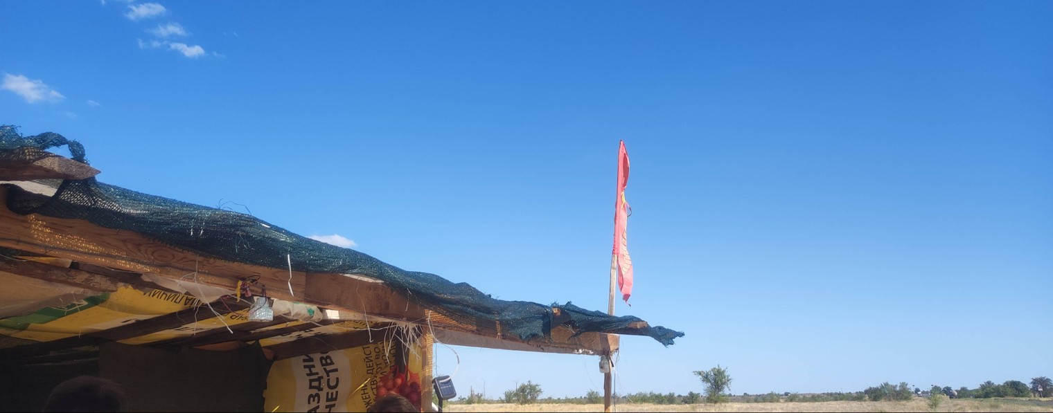 Бондарцев Никита