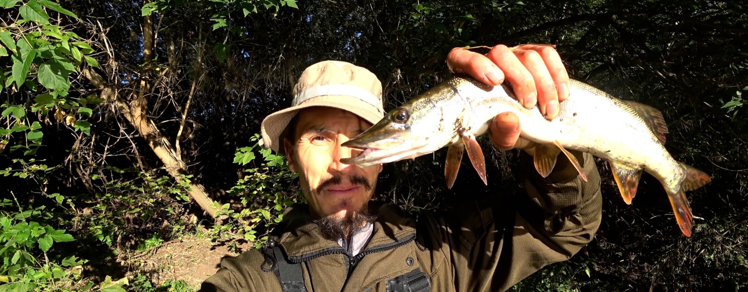 Забродники