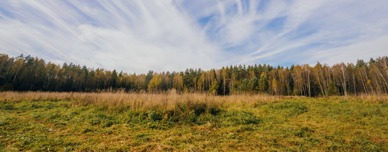 Охота на фазана во Владимирской области