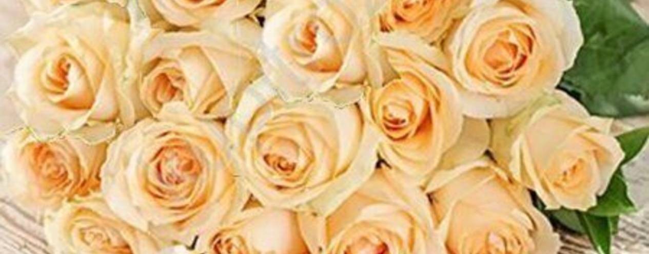 ЕЛЕНА ЛАПТЕВА (ЖУРБИЙ) ТВОРЧЕСТВО