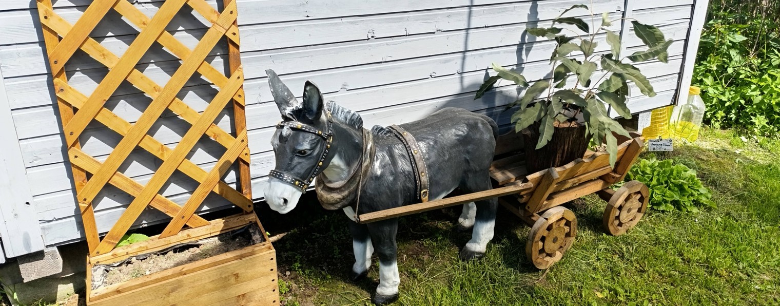 #деревенские выходные дни