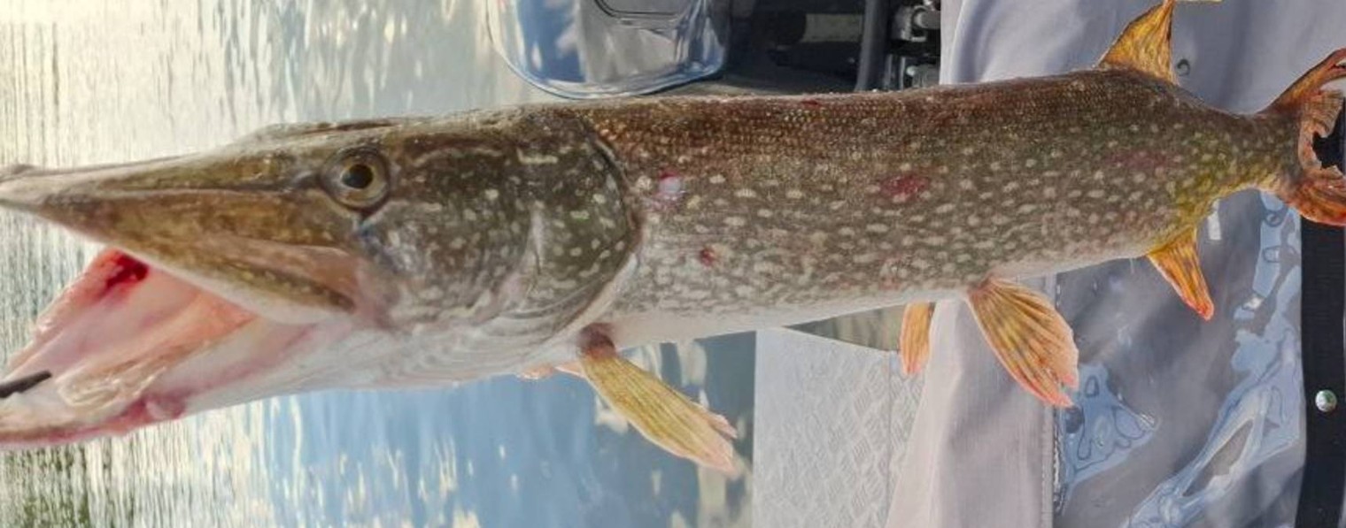 Дневник рыбака 50 rus