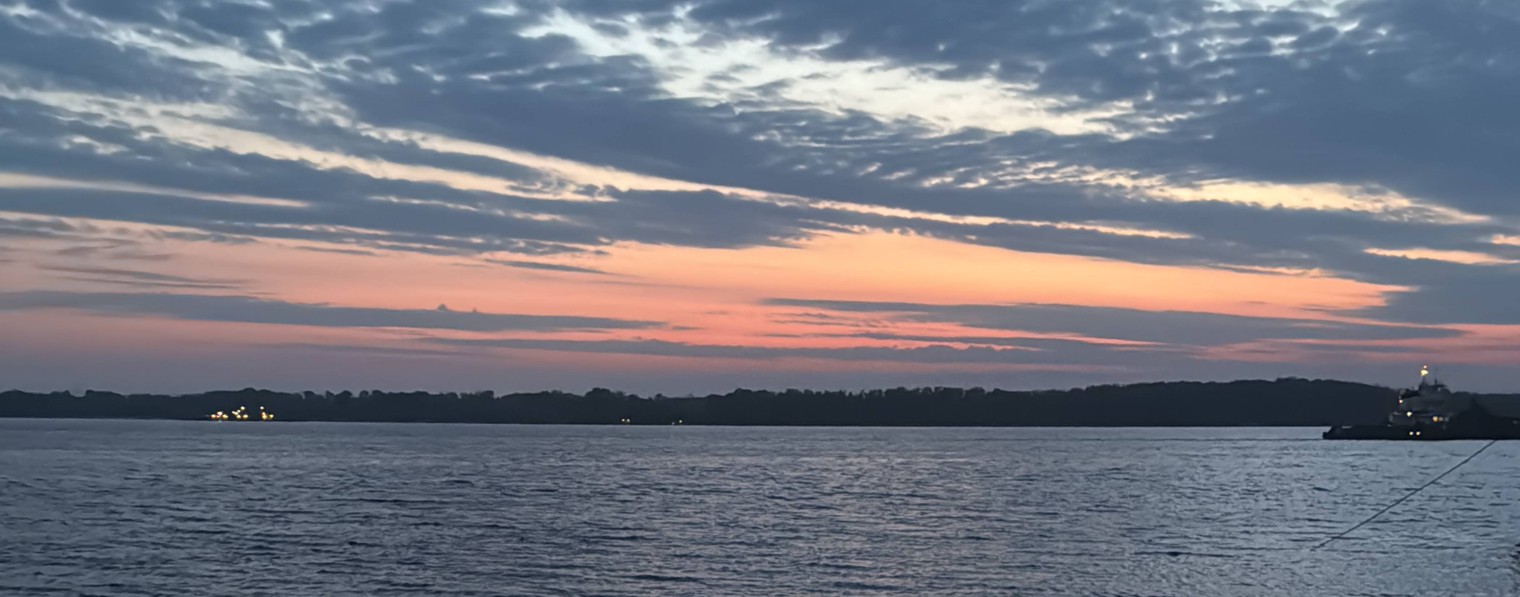 Роман Ильин