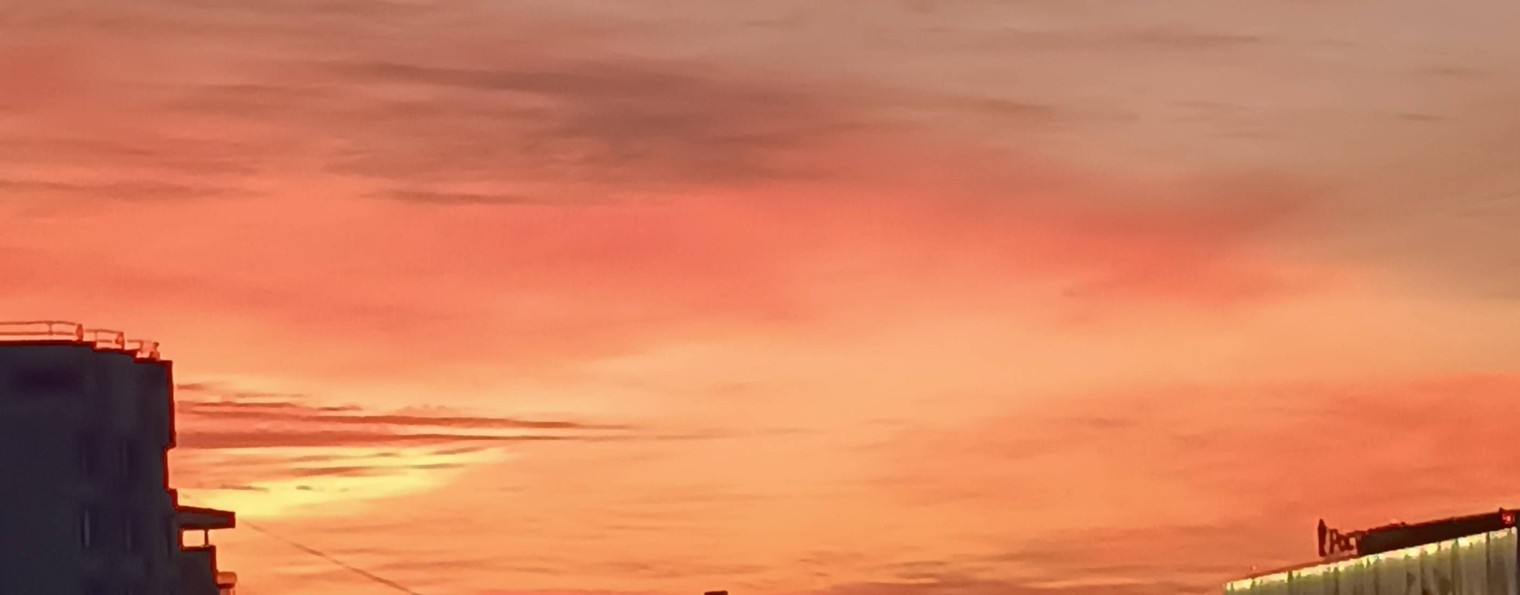 Квант успеха: физика ОГЭ/ЕГЭ со Светланой