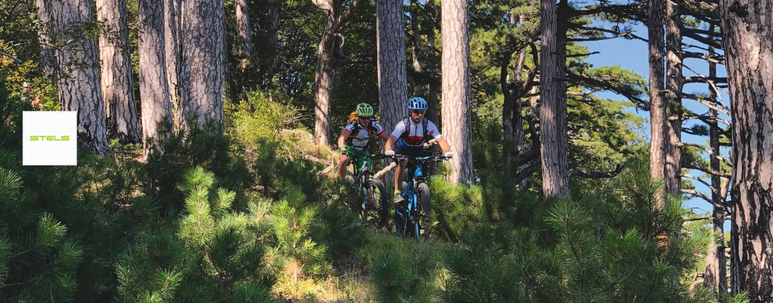 STELS | Велосипеды