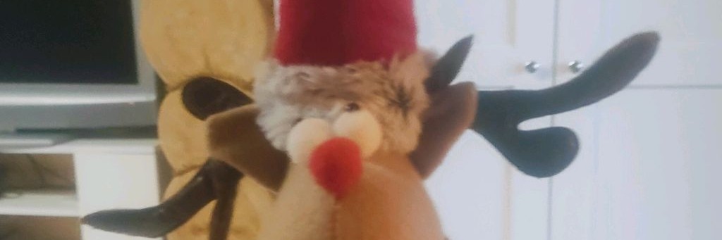 Гусь И Анжелика🪿