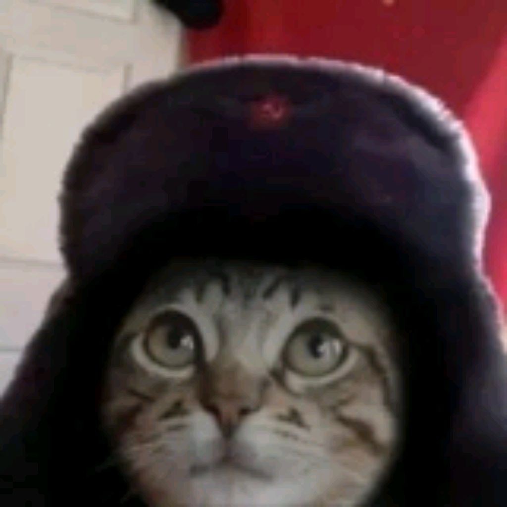 𝐌𝐨𝐧𝐚𝐥𝐝 𝐃𝐮𝐜𝐤