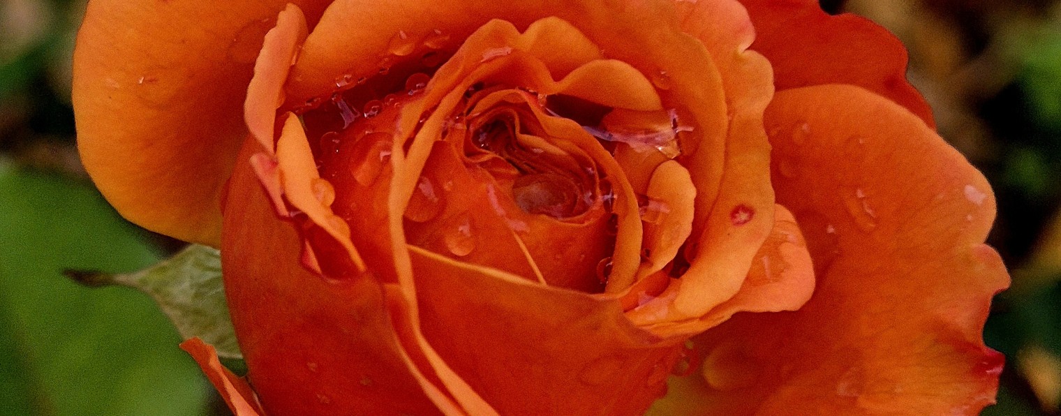 Мари Орлова Стихи