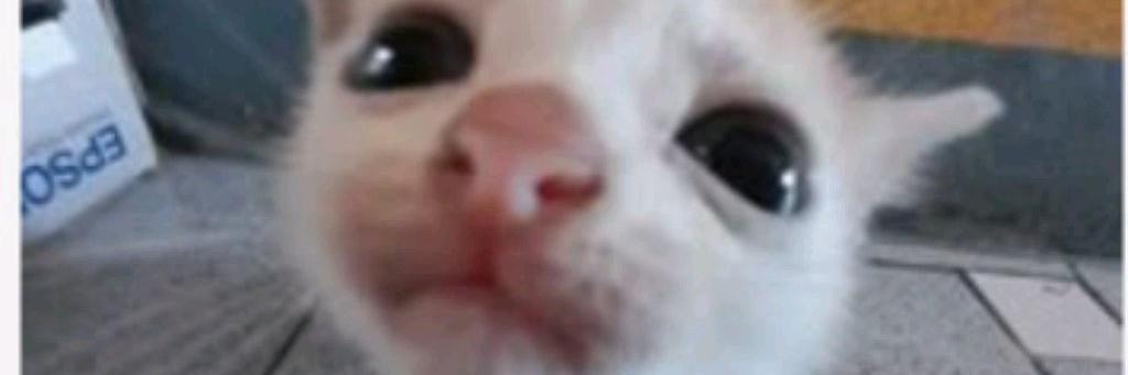 💋Polina плей 🌹