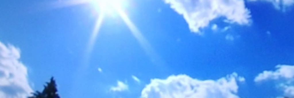 🧿⚜️Цыганские Свадьбы 2026⚜️🧿