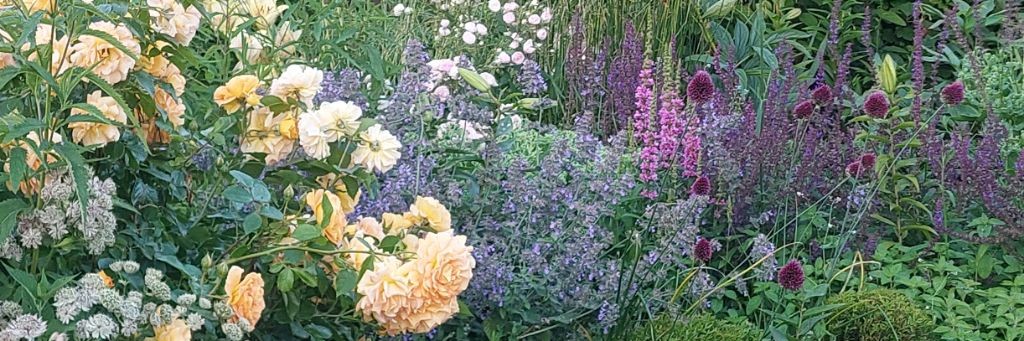 Сад "Северный склон"