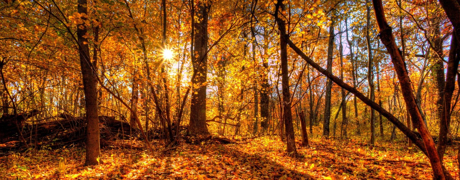 Видео для школы