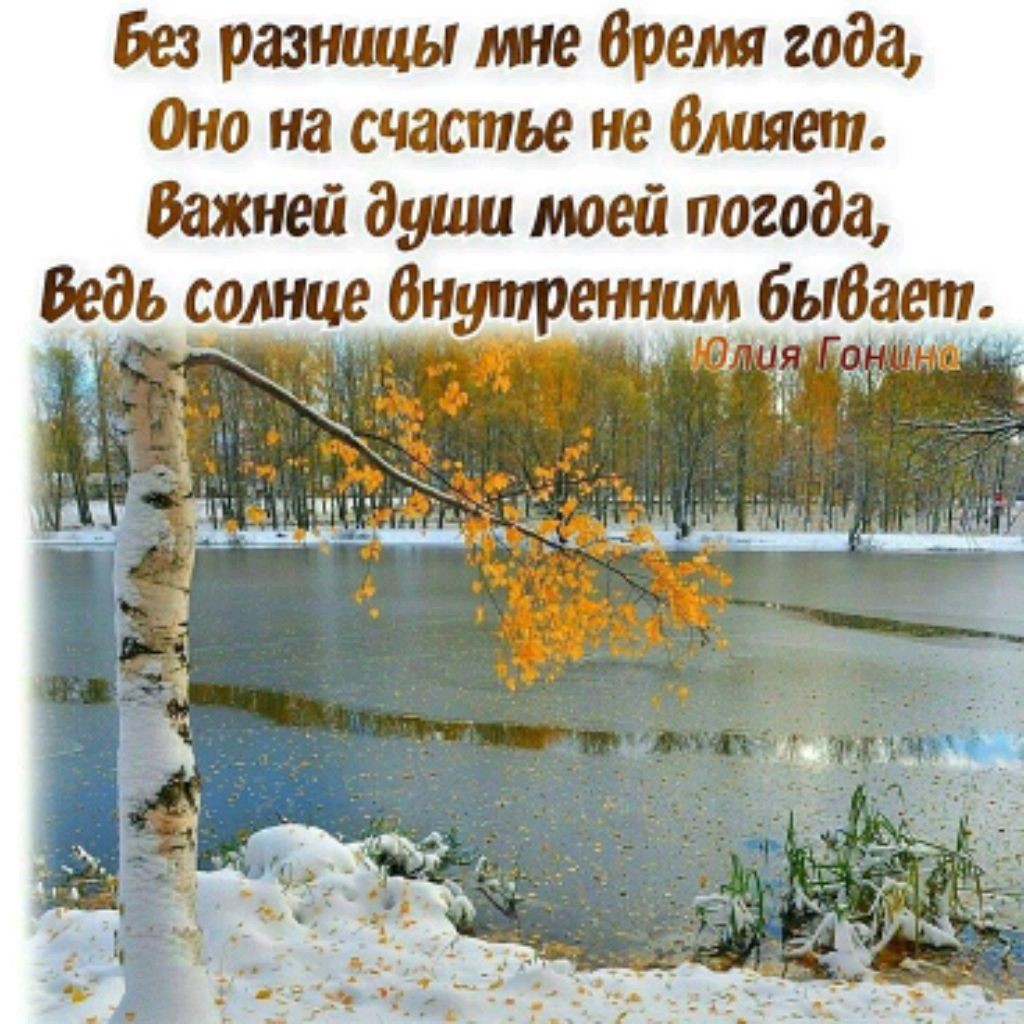 Шуршик ;)