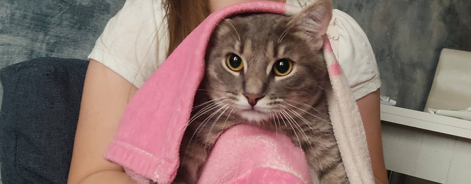 Ваня,Арина и алмазная картина