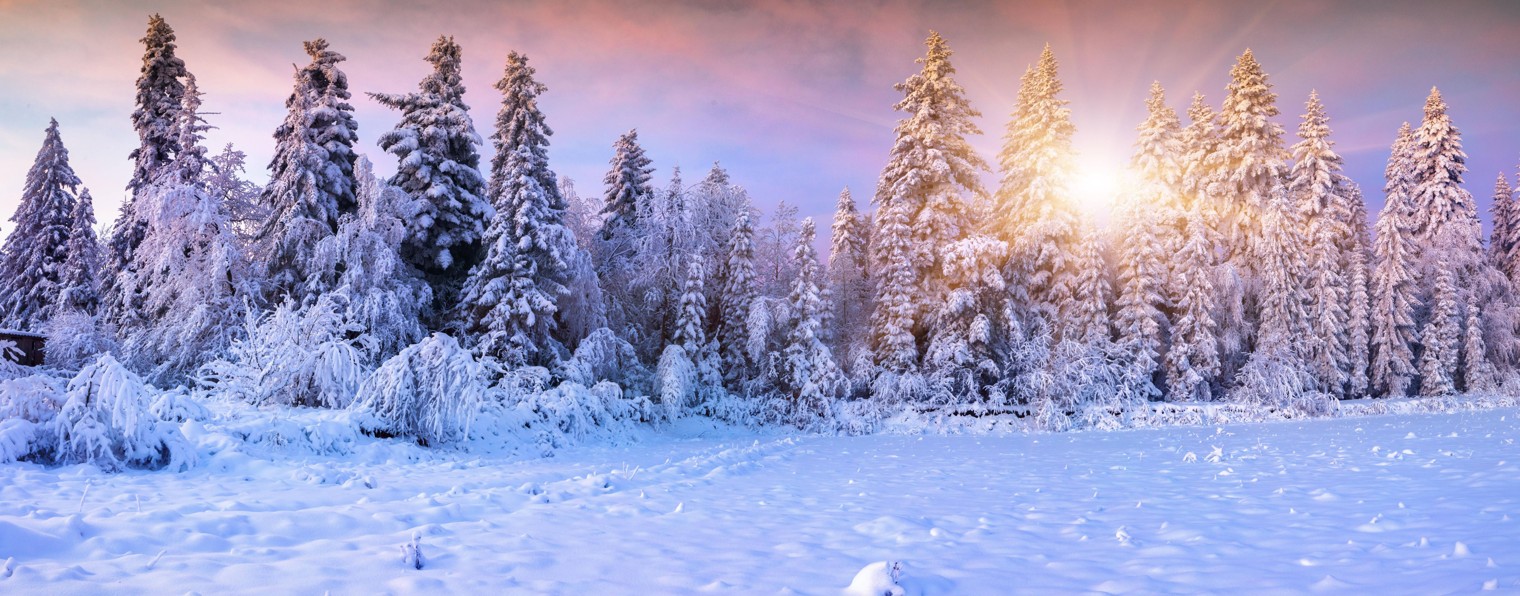 Снежинка Про Game