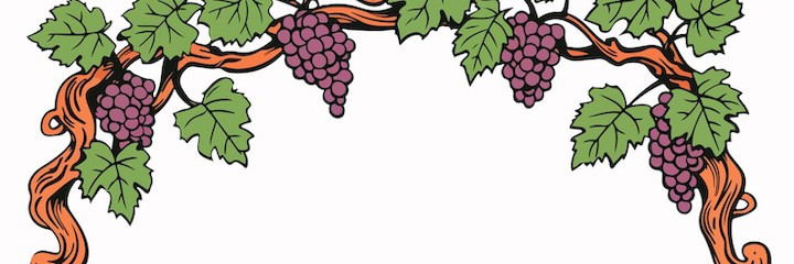 🍇 ЛОЗА🍇