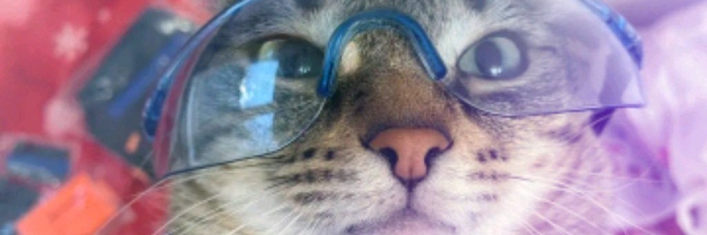 ∆® Шпион®∆