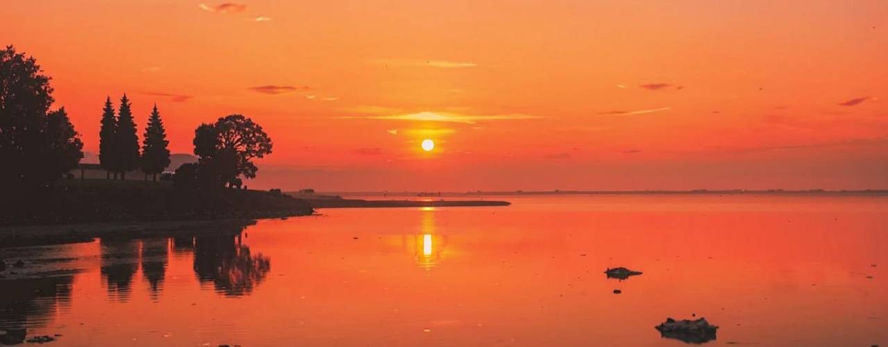 Майя Крылова