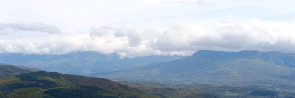 Выживание Охота и Рыбалка