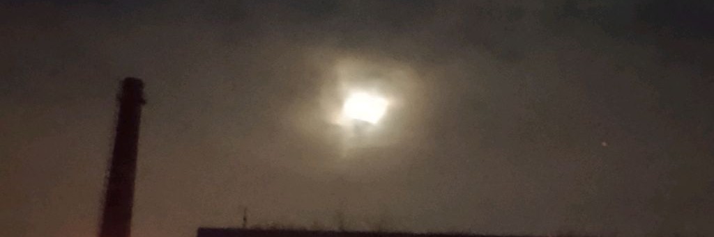 💚🍀✅•|Vee|•✅🍀💚