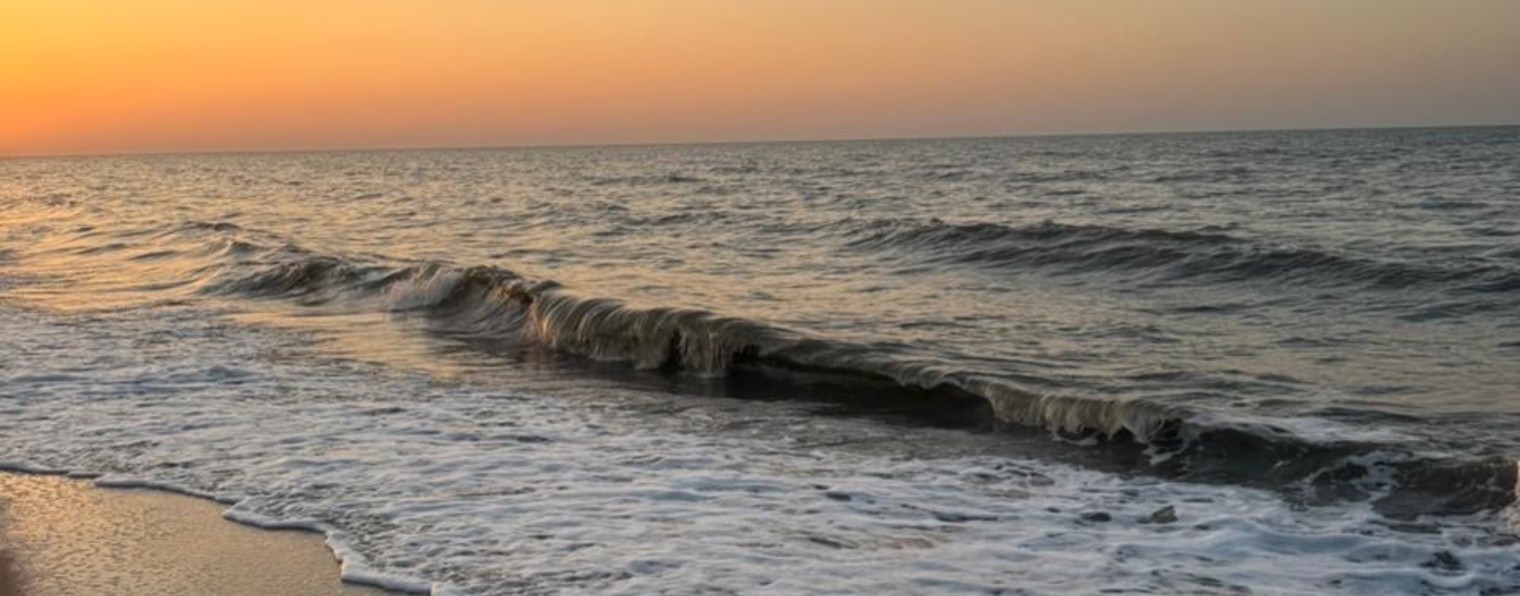 Вперёд и Вверх