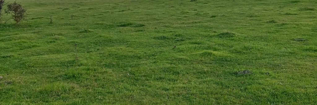 Shovda_и_Мадик