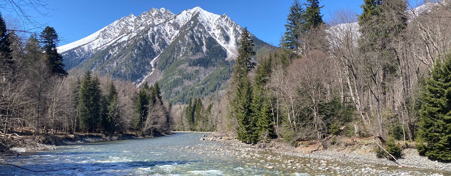 Роман Налинский