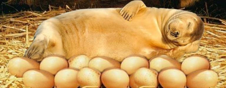 Обычно я сплю