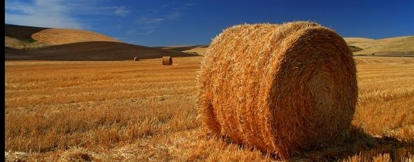 [SunSunych] Досуг и не только☝