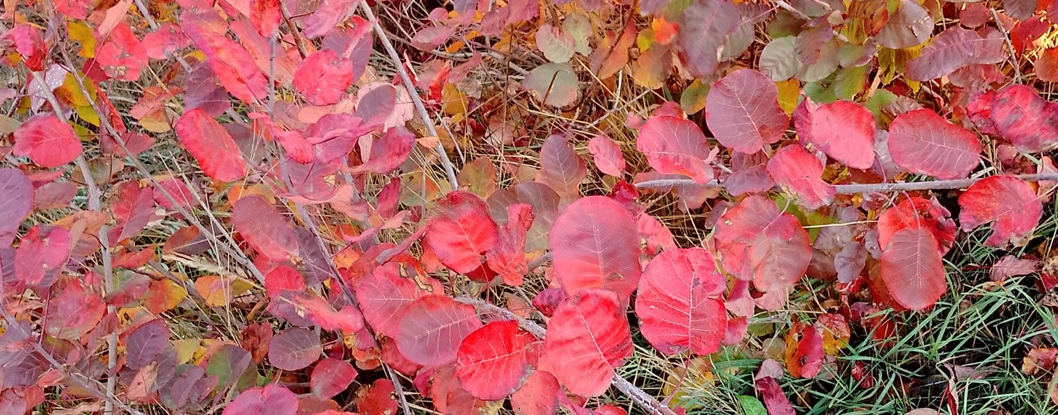 Видео про всё))