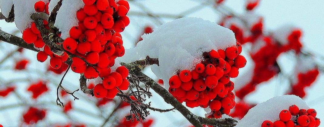 Клопова Ксения