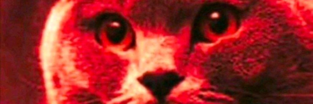 Лизуха😜😜😜