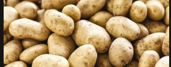 Кошка_Картошка