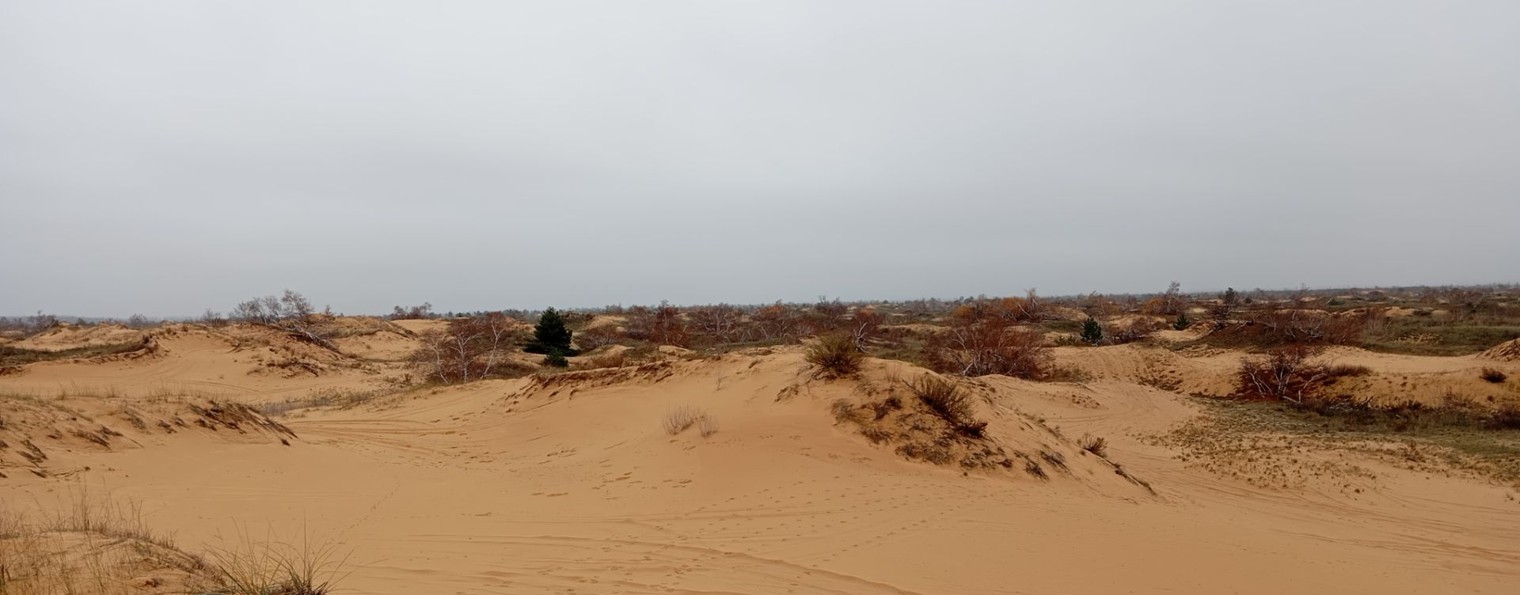 Дорожная Карта