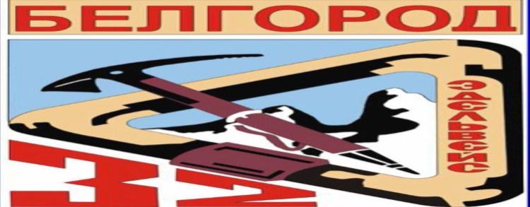 Эдельвейс 31