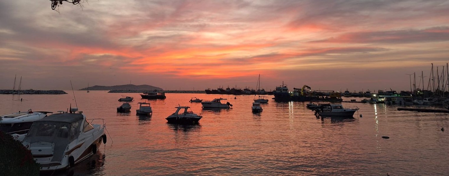 Спорт с пользой для здоровья.