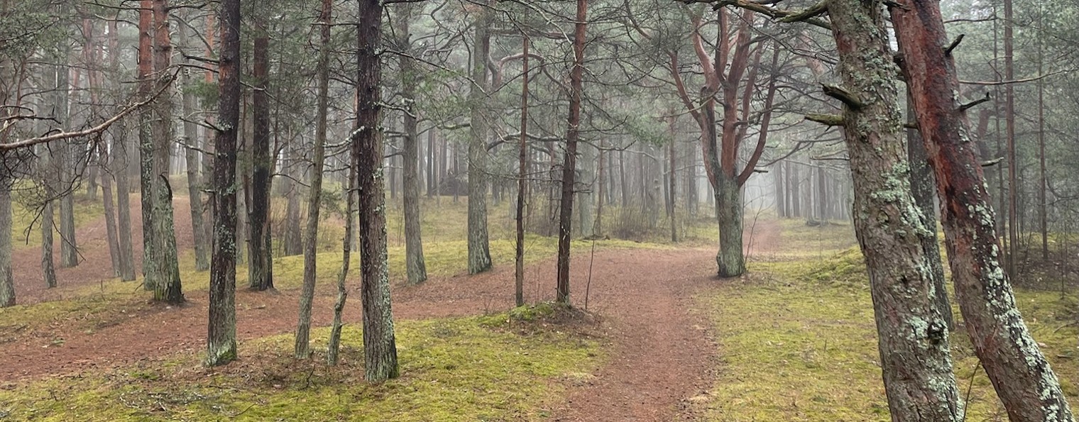 Школа Аюрведы Максима Володина