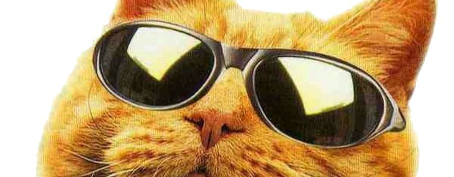 ЛУЧШИЕ СОВЕТЫ