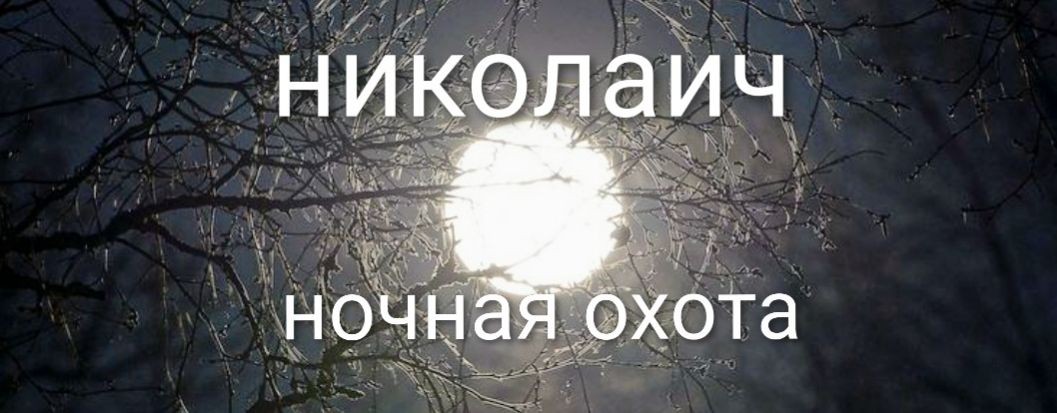 Николаич Ночная Охота