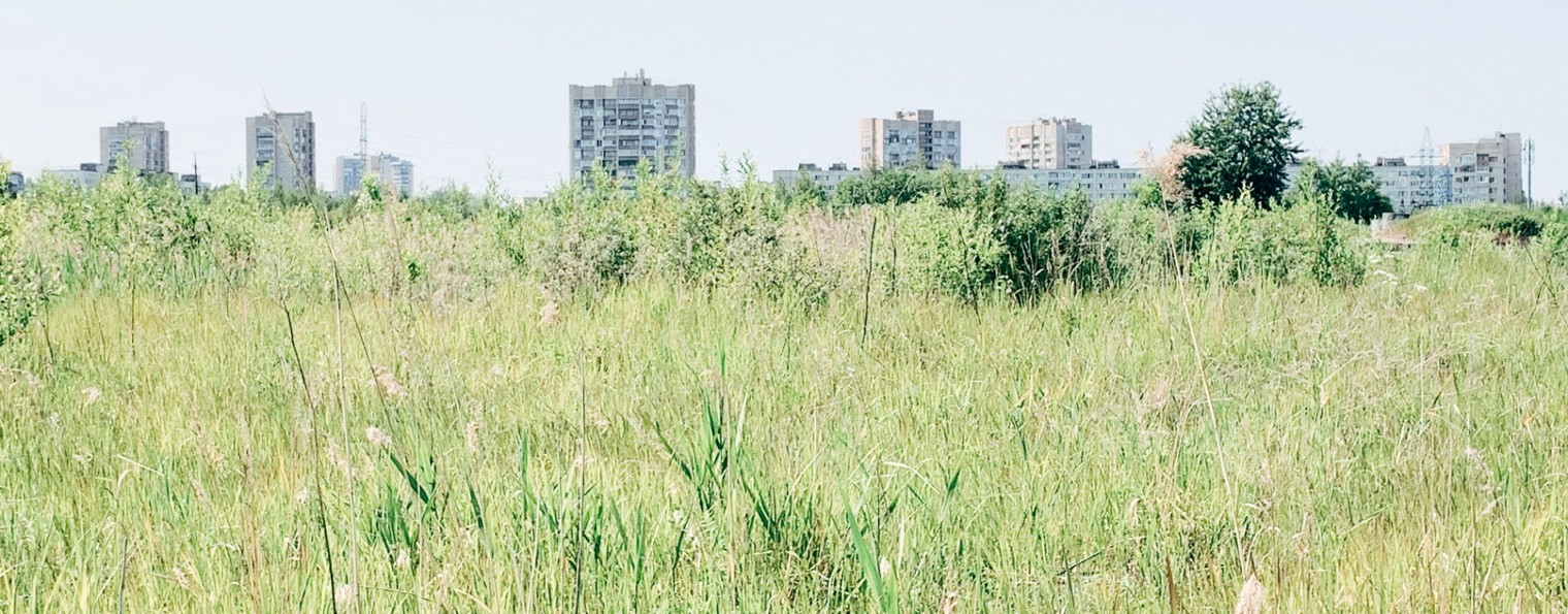 Chichagov Dmitrii