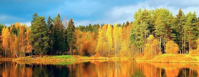 Россия в кадре.