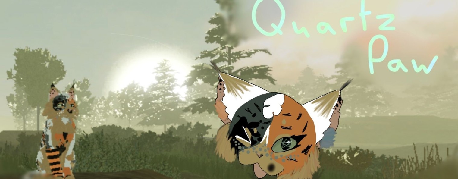 — °•+ Кварцелапка КВ. +•°