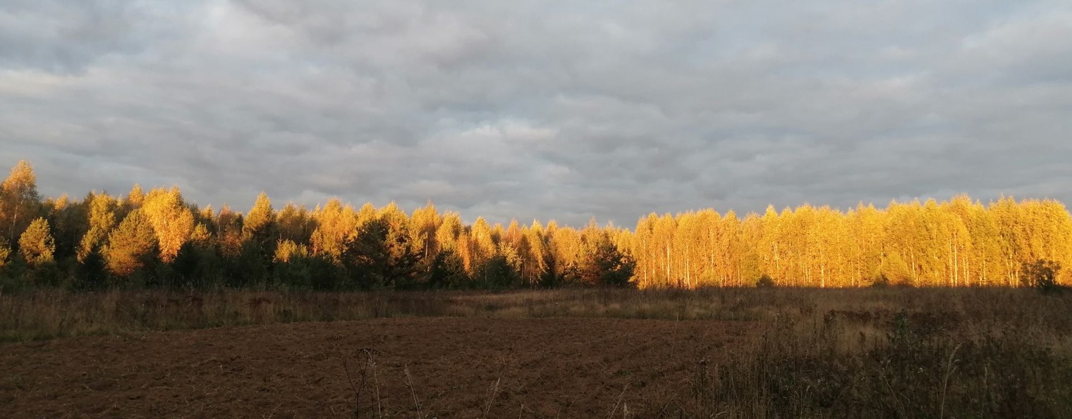 Охота и Рыбалка