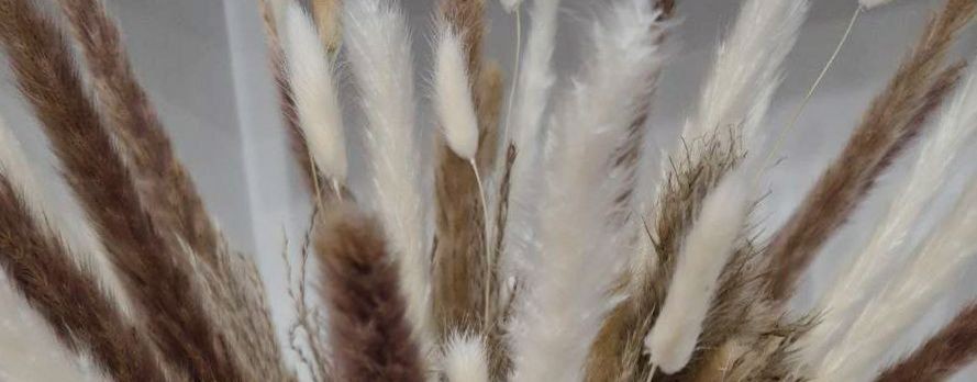 Шереметьевские Сны